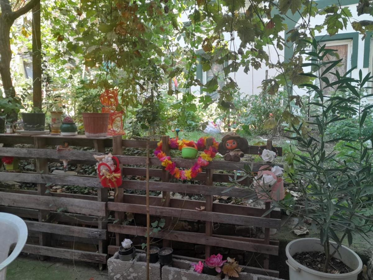 Adem'S Cozy Terrace Retreat Bed & Breakfast Scopia Exterior foto