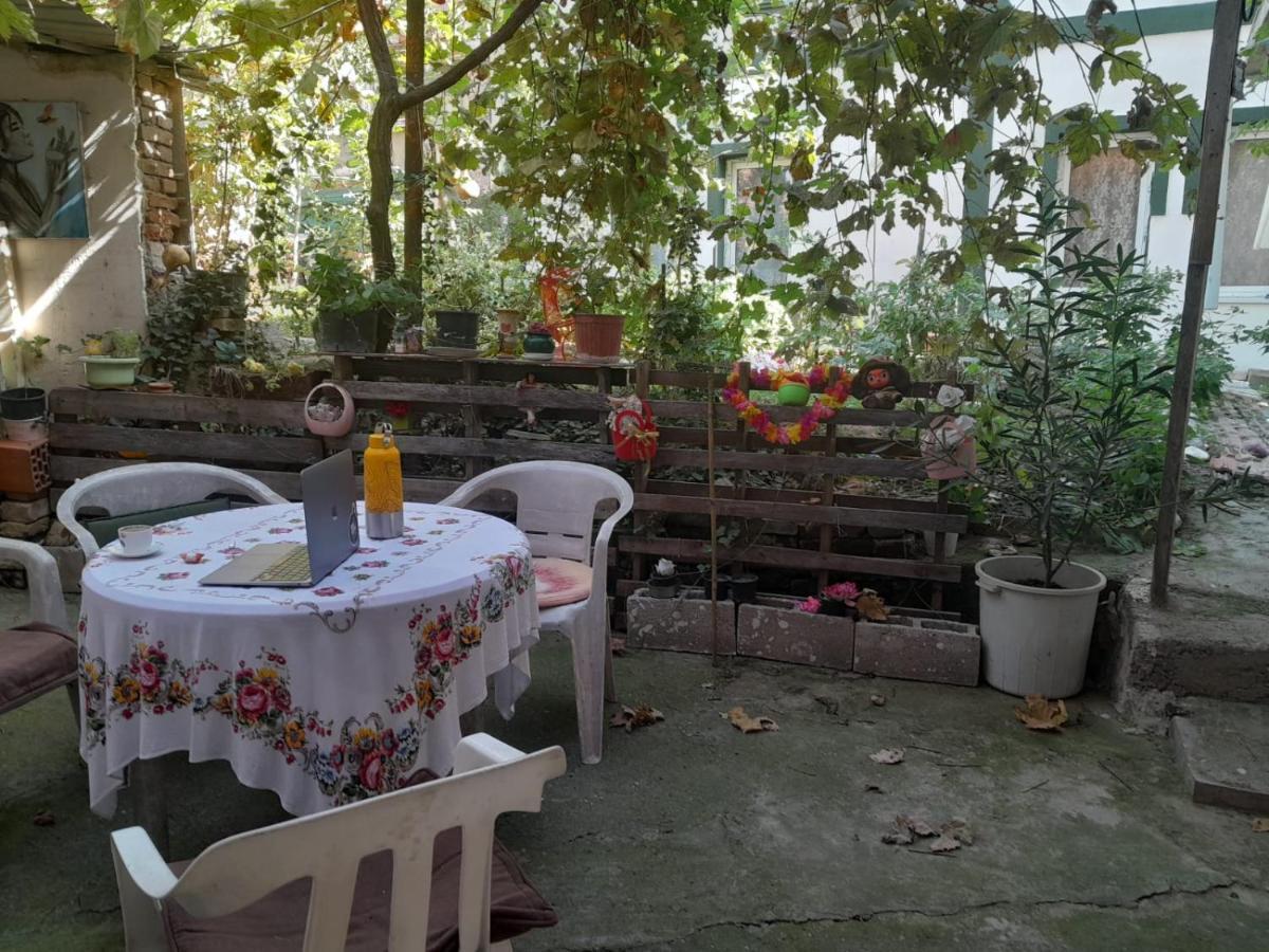 Adem'S Cozy Terrace Retreat Bed & Breakfast Scopia Exterior foto