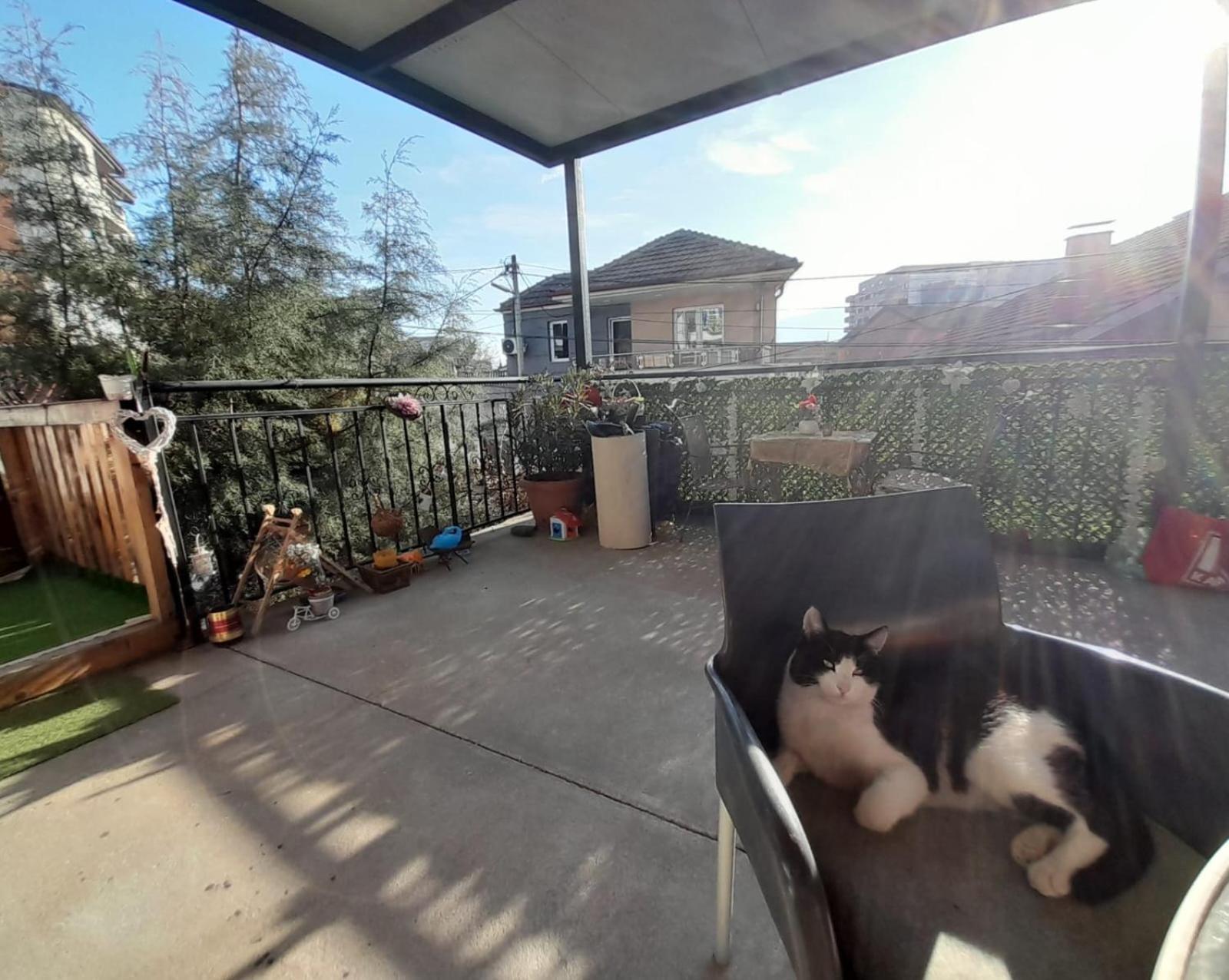 Adem'S Cozy Terrace Retreat Bed & Breakfast Scopia Exterior foto